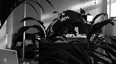 MASSIVE ART Blog: Das neue Büro von MASSIVE ART