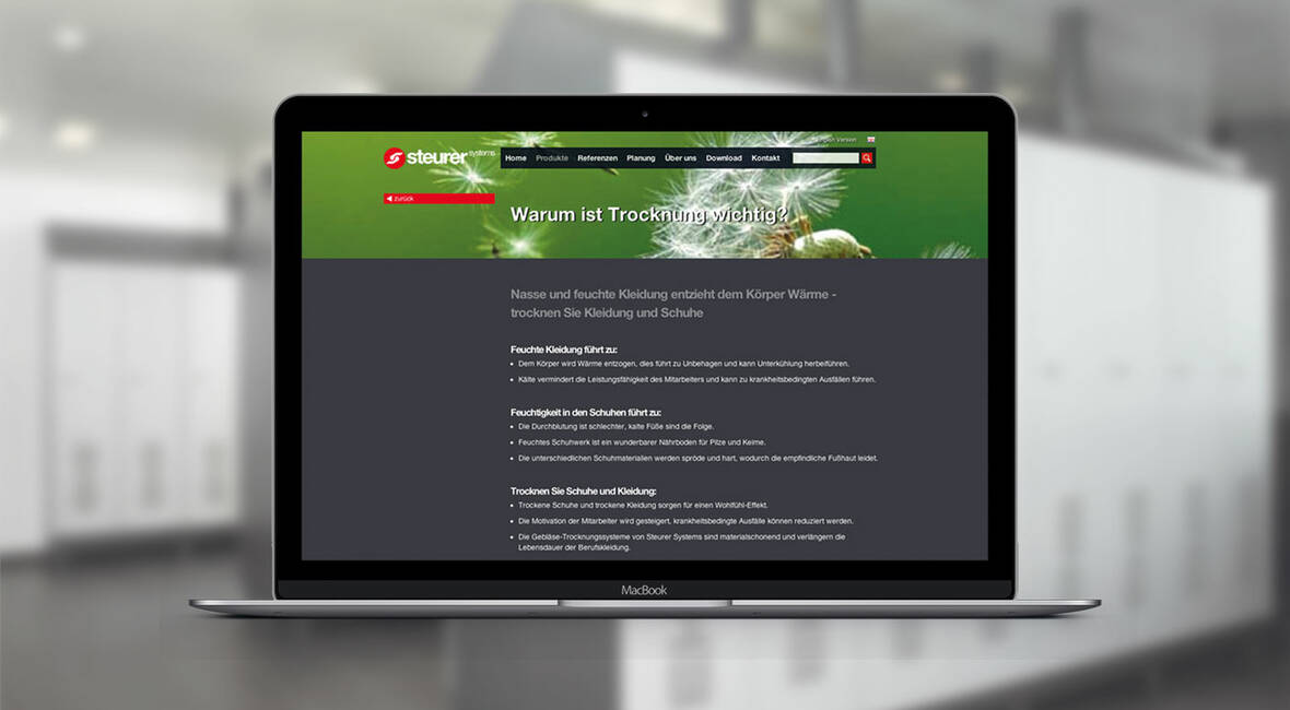 MASSIVE ART – Website-Relaunch für Steurersystem