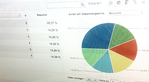 SEM und wie schnell es gehen kann