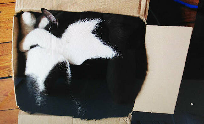 Growth Hacking Viewport Growth Hacking Viewport