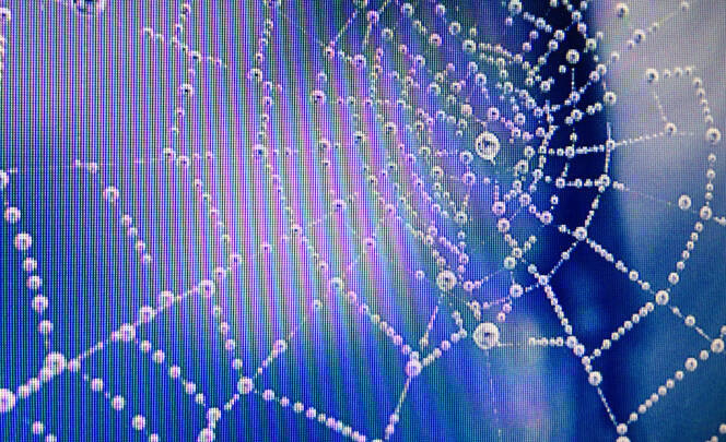 bewegen-im-sozialen-netz bewegen-im-sozialen-netz