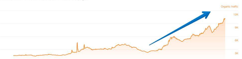 SEO Absturz Google Up