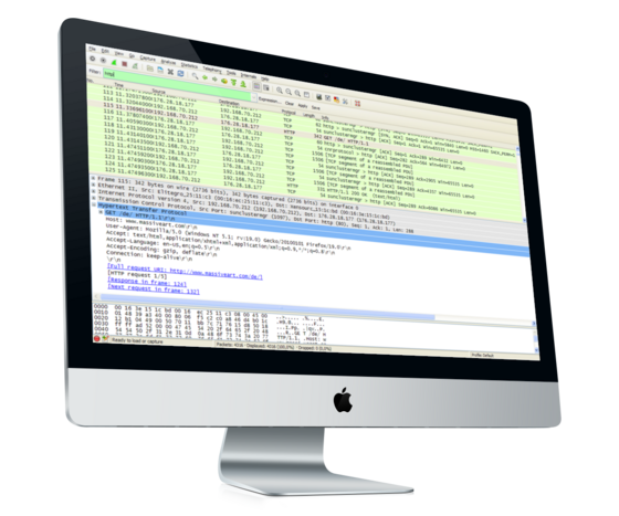 MASSIVE ART Blog - Wireshark - http