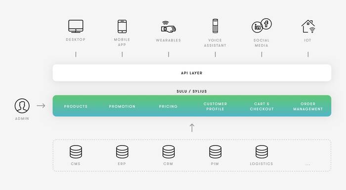 Abbildung 2: Headless Commerce Framework E-Business Struktur Headless