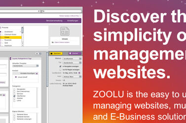 MASSIVE ART Blog: MASSIVE-ART-opens-ZOOLU