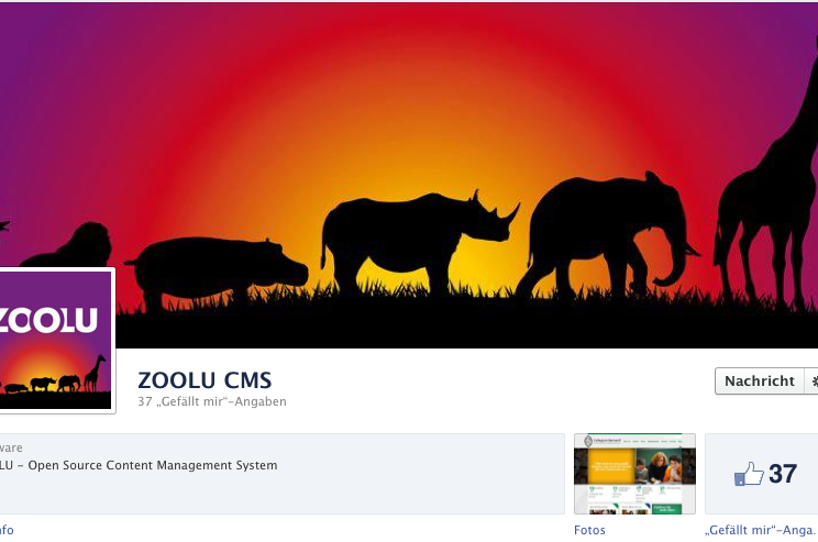 MASSIVE ART Newsletter: Facebook-Timeline für Unternehmen