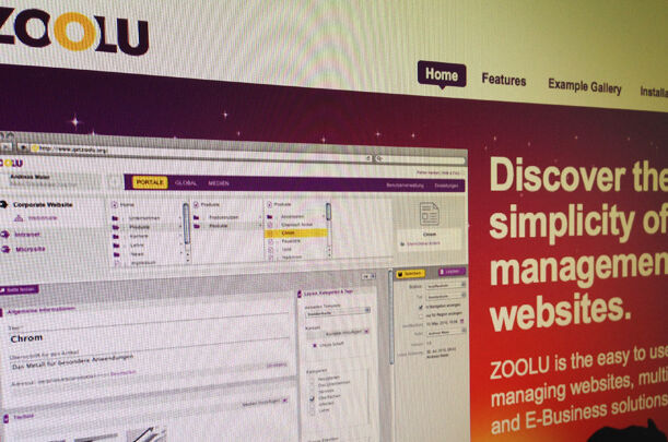 newsletter-zoolu