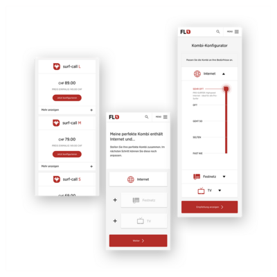 FL1 Online-System für Endkunden und Businesspartner Overview FL1 Online-System für Endkunden und Businesspartner Overview